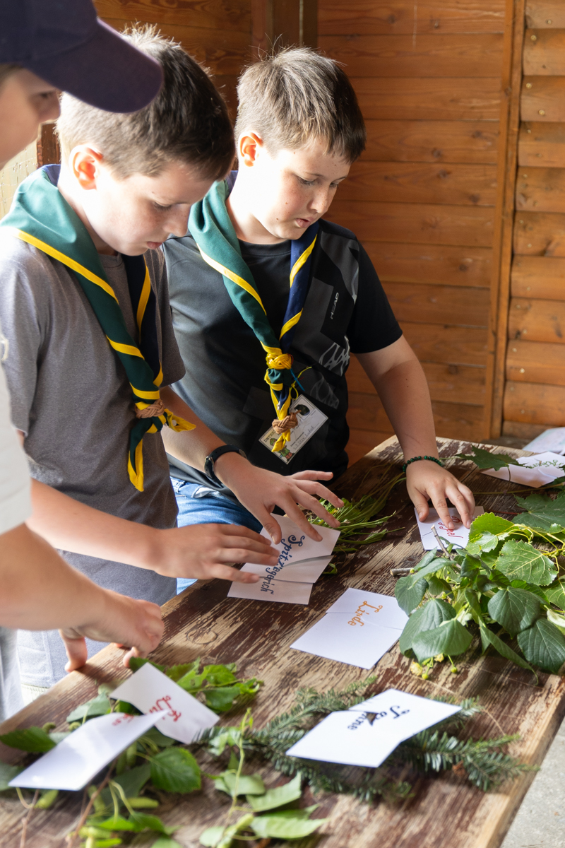 Pfadfinder-Zistersdorf_2024_05_26_low-res-114