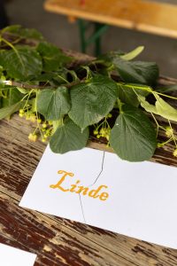 Pfadfinder-Zistersdorf_2024_05_26_low-res-115