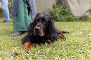 Pfadfinder-Zistersdorf_2024_05_26_low-res-25