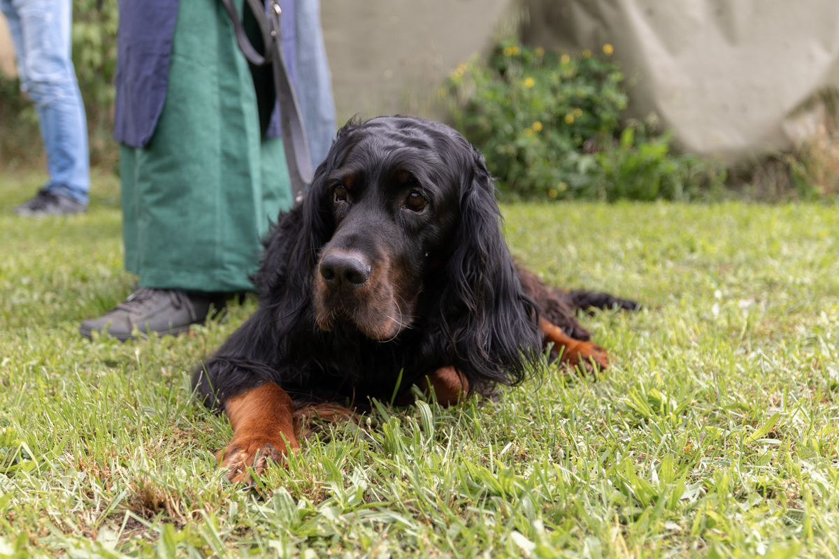 Pfadfinder-Zistersdorf_2024_05_26_low-res-25