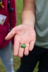 Pfadfinder-Zistersdorf_2024_05_26_low-res-76